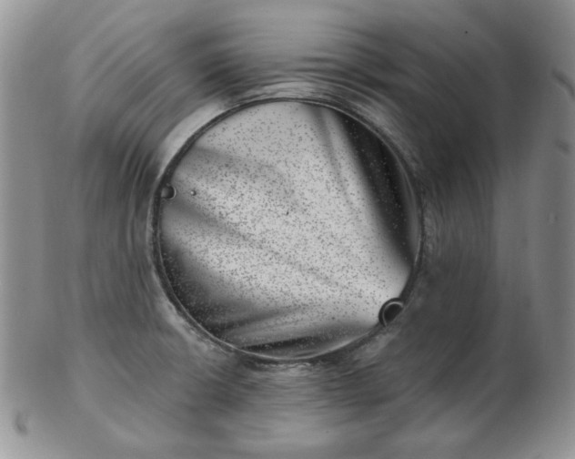X0000102871426200808251230