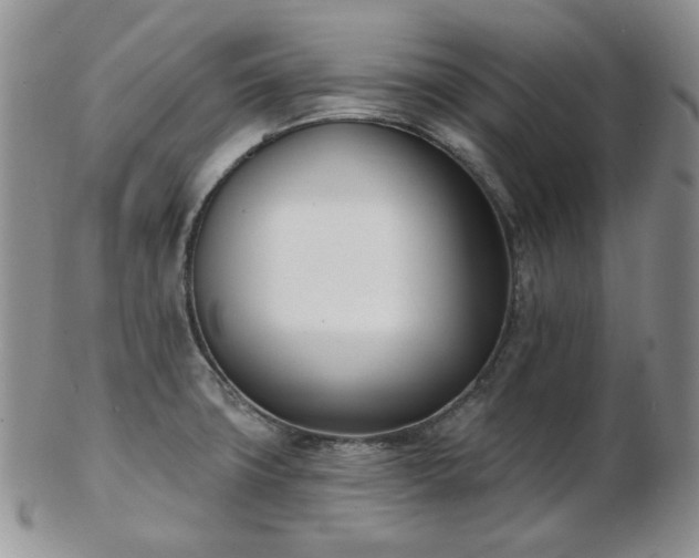 X0000102871427200808251230