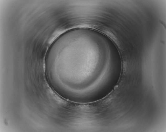 X0000102871428200808251230