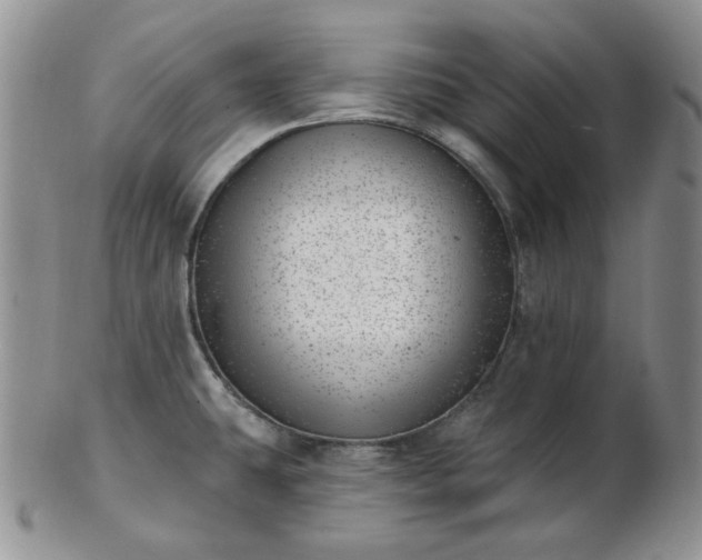 X0000102871431200808251231