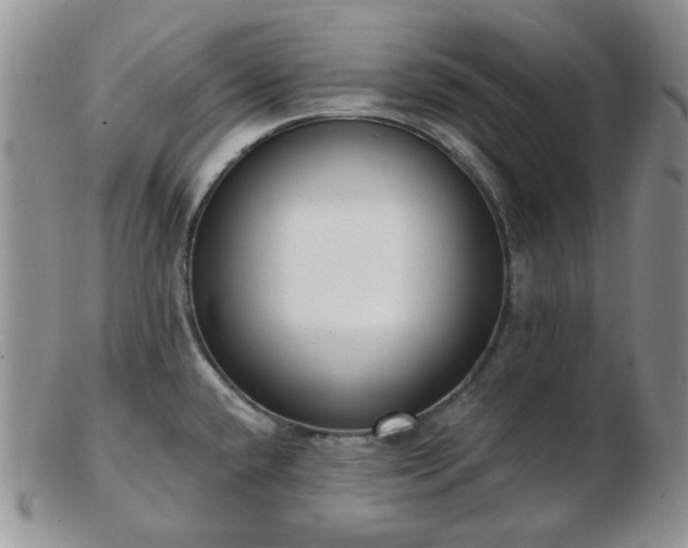 X0000102871432200808251231