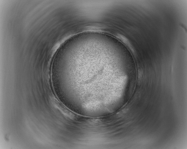 X0000102871435200808251231