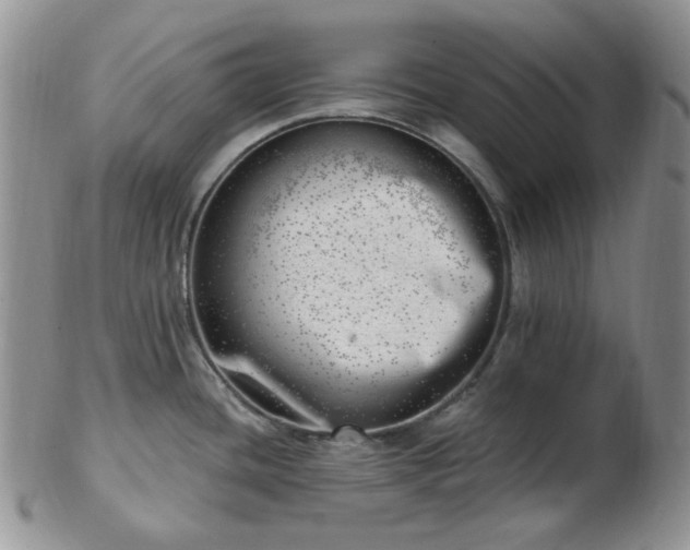 X0000102871436200808251231