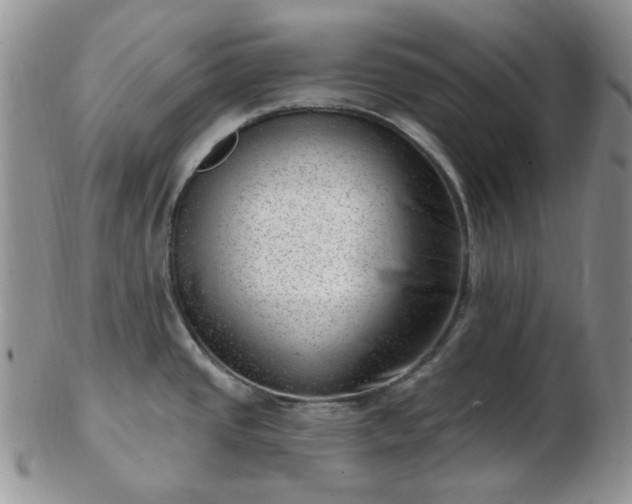 X0000102871437200808251231
