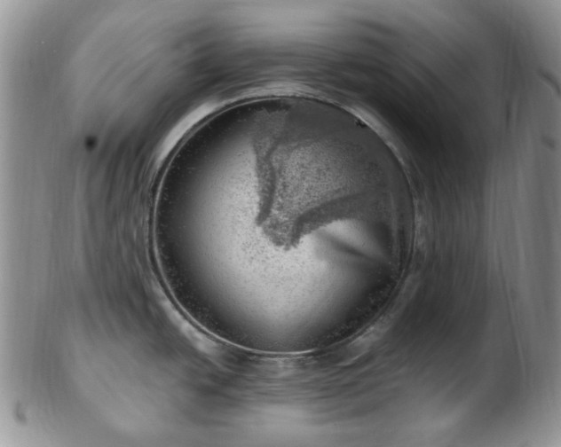 X0000102871438200808251231