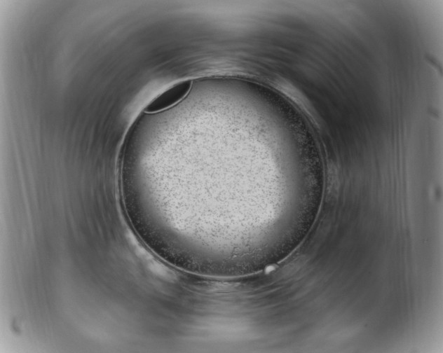 X0000102871439200808251231