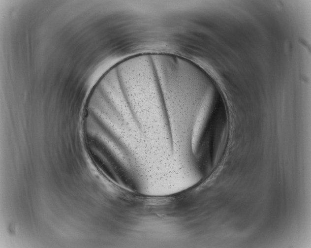 X0000102871440200808251231