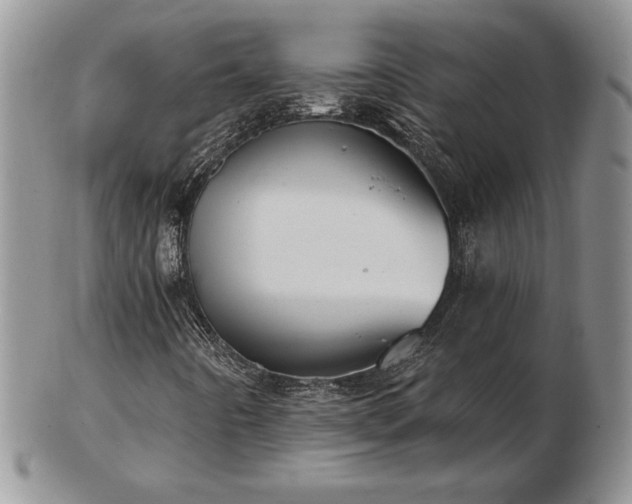 X0000102871442200808251230