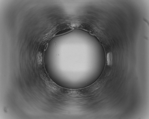 X0000102871443200808251230