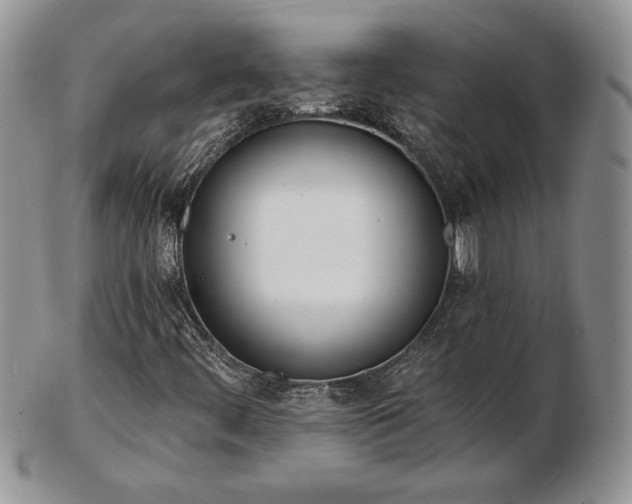 X0000102871444200808251230