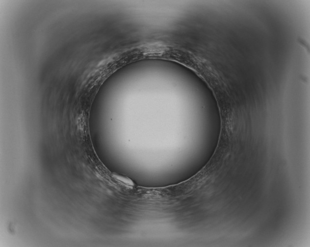 X0000102871445200808251230