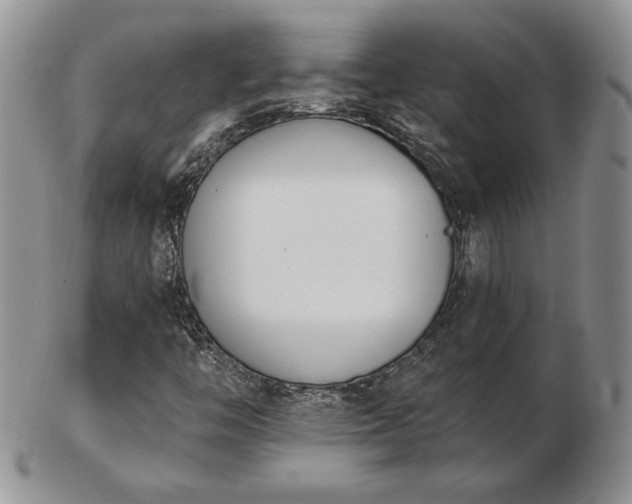 X0000102871446200808251230
