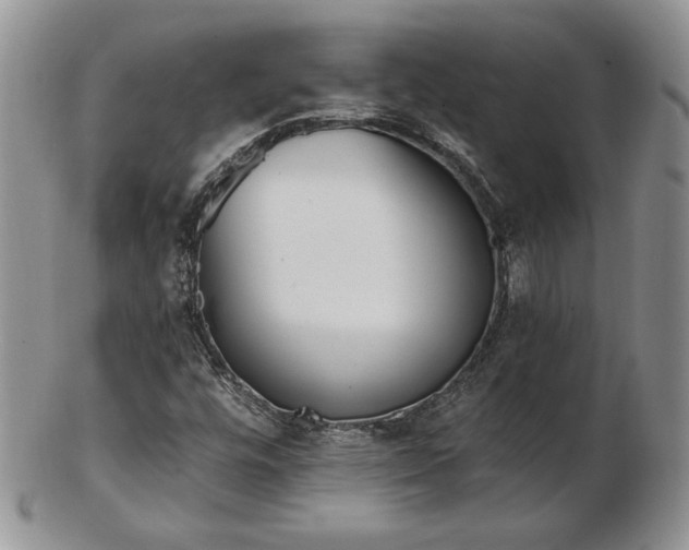 X0000102871448200808251230