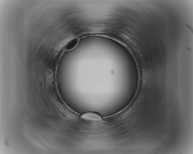 X0000102871449200808251230