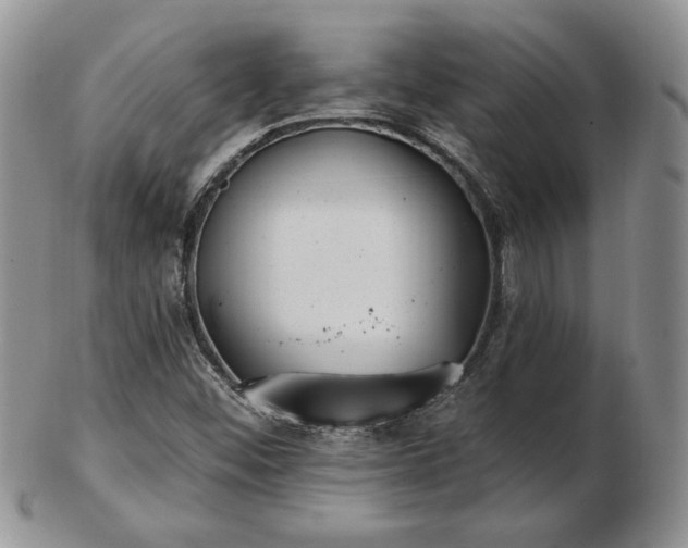 X0000102871452200808251230