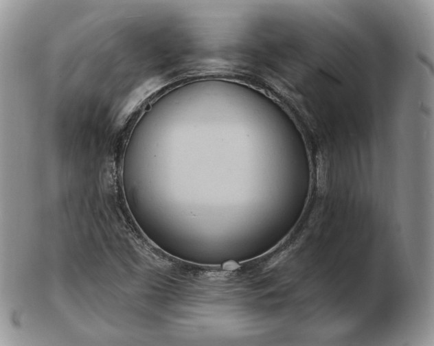 X0000102871453200808251230