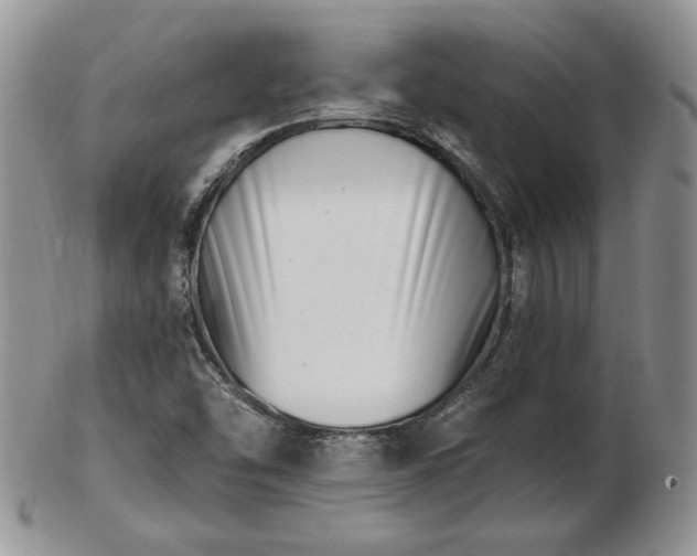 X0000102871454200808251230