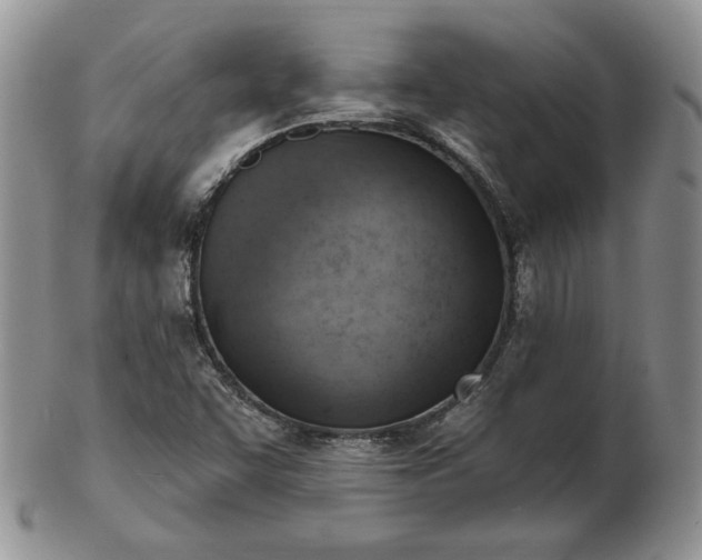 X0000102871455200808251230
