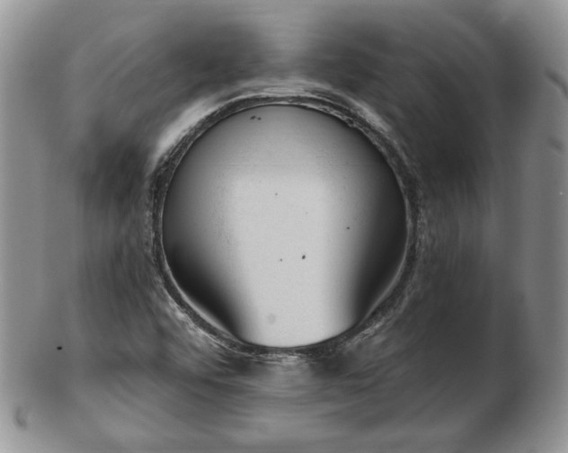 X0000102871456200808251230