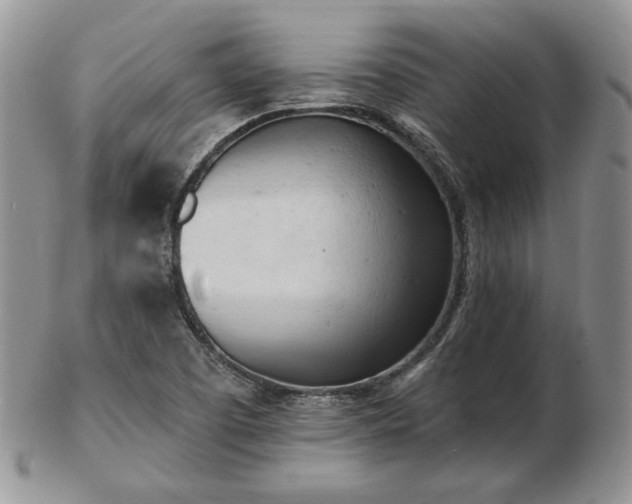 X0000102871457200808251230
