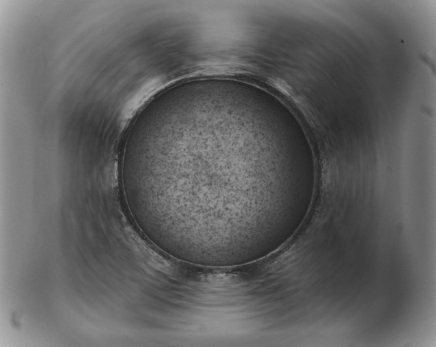 X0000102871459200808251230