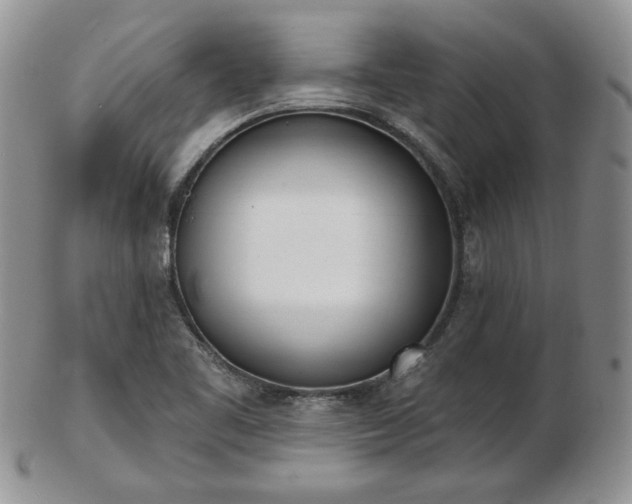 X0000102871461200808251230