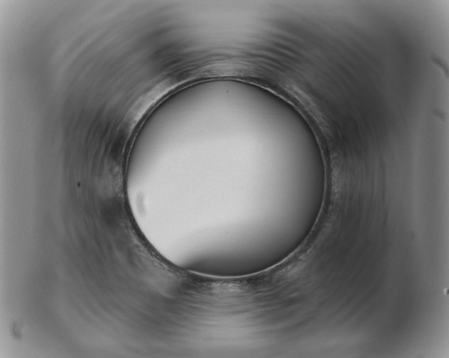 X0000102871465200808251230