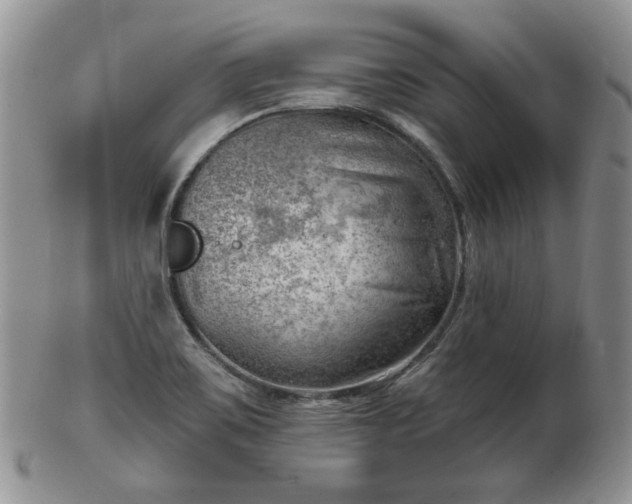 X0000102871467200808251230