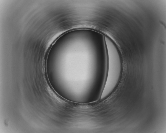 X0000102871468200808251230