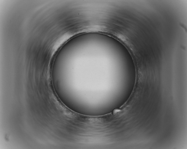 X0000102871469200808251230