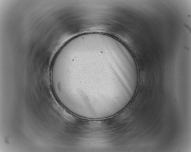 X0000102871470200808251229