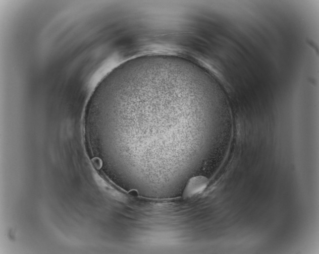X0000102871471200808251229