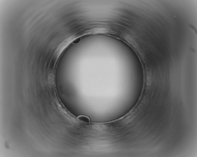 X0000102871473200808251229