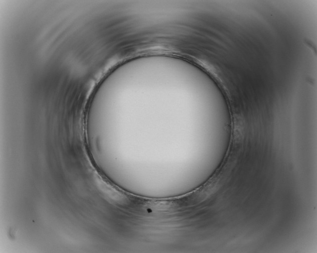 X0000102871474200808251229