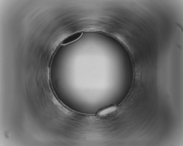 X0000102871476200808251229