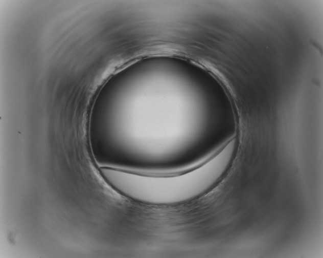 X0000102871477200808251229