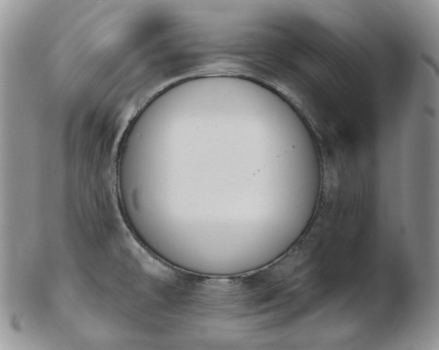 X0000102871478200808251229