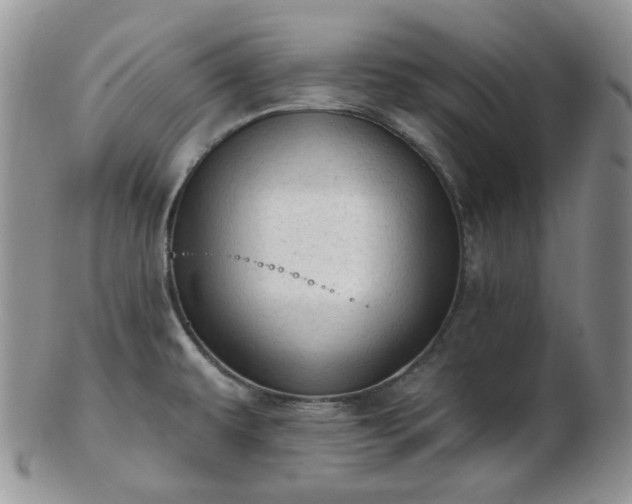 X0000102871479200808251229