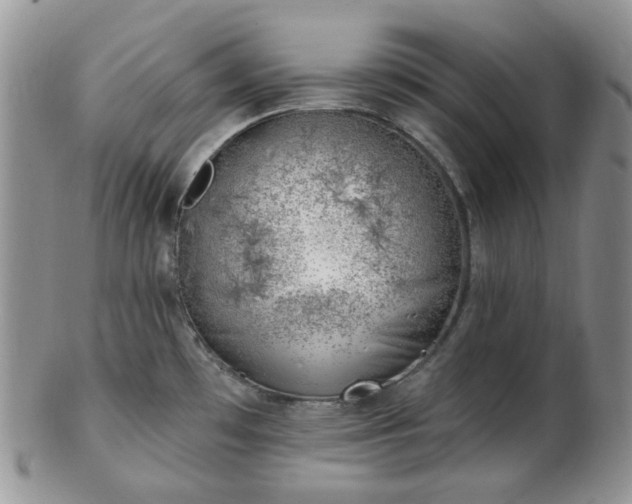 X0000102871481200808251229