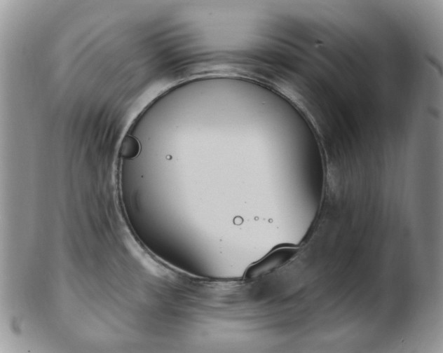 X0000102871482200808251229