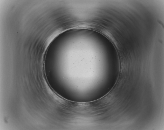 X0000102871483200808251229