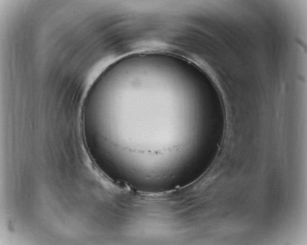X0000102871488200808251229