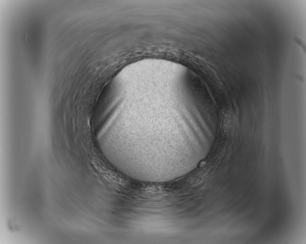 X0000102871489200808251229