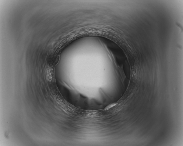 X0000102871490200808251229
