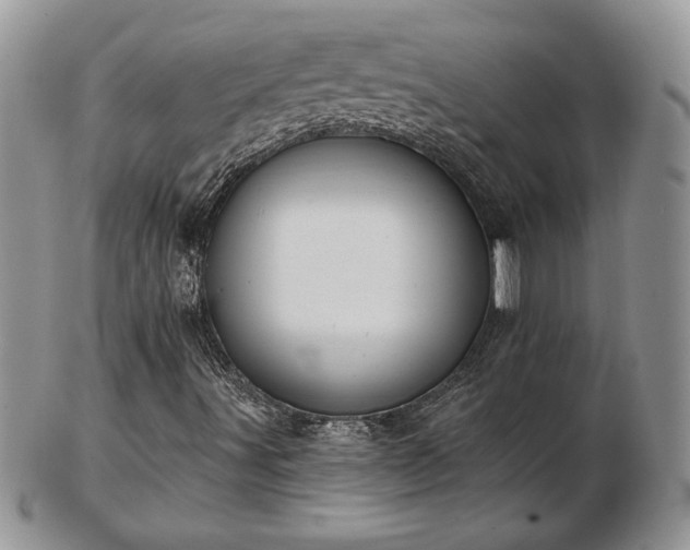 X0000102871491200808251229