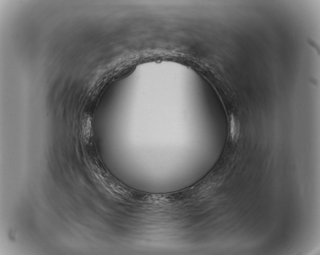 X0000102871492200808251229
