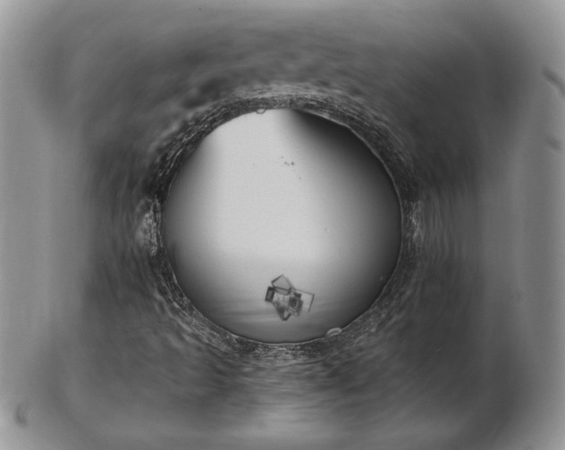 X0000102871493200808251229