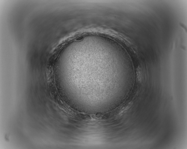 X0000102871494200808251229