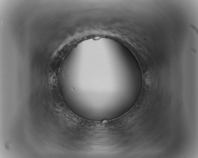 X0000102871495200808251229