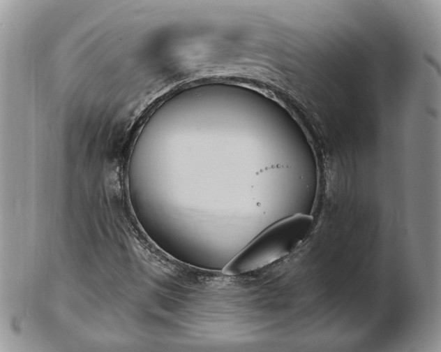 X0000102871497200808251229